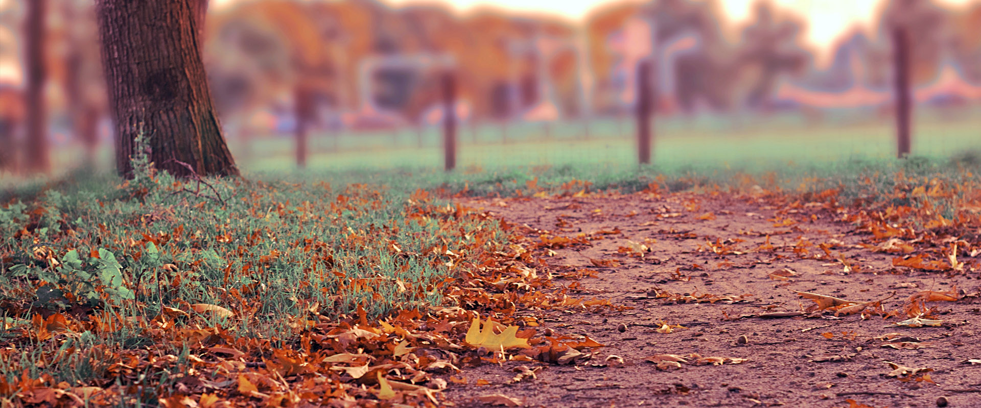 云呼死你网页版