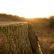 在线短信电话轰炸机