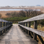 云呼死你网页版