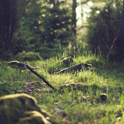 云呼死你网页版