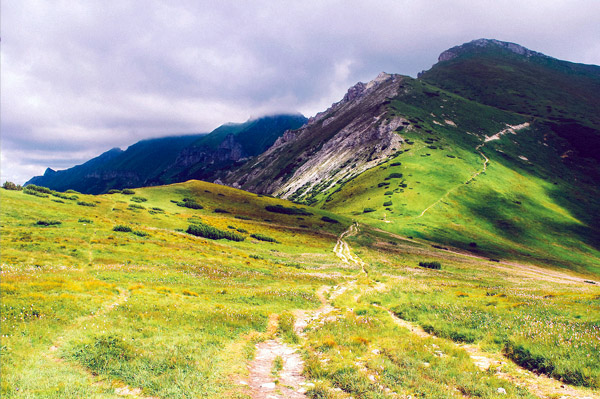 云呼网页版在线轰炸机